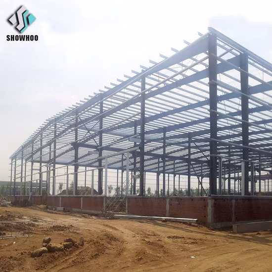 High Quality China Differently Style Galvanized Steel Structure Workshop