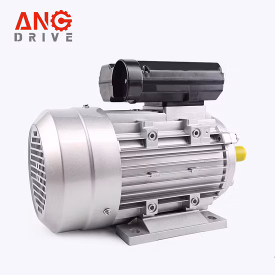 AC Induction Electric Motor 2.2kw Single Phase 2HP for Rice Mill