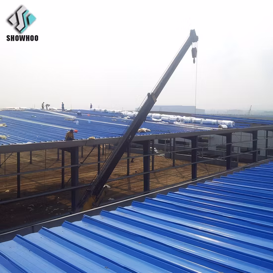 High Quality China Differently Style Galvanized Steel Structure Workshop